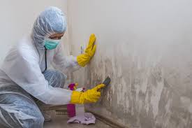 Best Emergency Mold Remediation  in Asbury Lake, FL